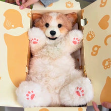 Load image into Gallery viewer, Petslify Backpack for school, travel, and everyday use