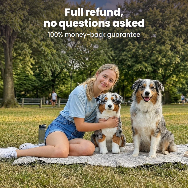 Full refund, no questions asked: a girl on the grass with an Australian Shepherd and its custom plush
