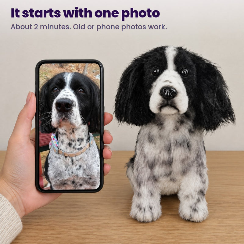 It starts with one photo: a phone showing a spaniel’s photo next to a custom stuffed animal of the same dog