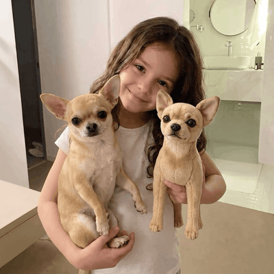 Girl holding two custom stuffed animals of her small dogs
