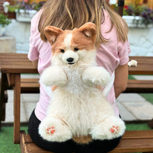 Load image into Gallery viewer, Petslify Backpack – the cutest corgi-themed bag