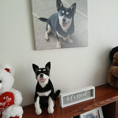 Stuffed animal replica of a black and white dog below the photo it was made from
