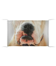 Load image into Gallery viewer, Funny Dog Face Printed Cotton Mask