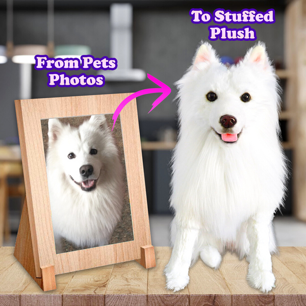 Custom Stuffed Animal of Your Pet